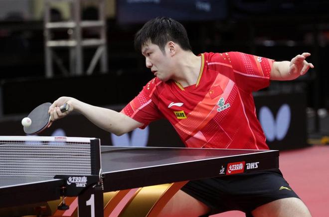 迷们共同期 迷们共同期